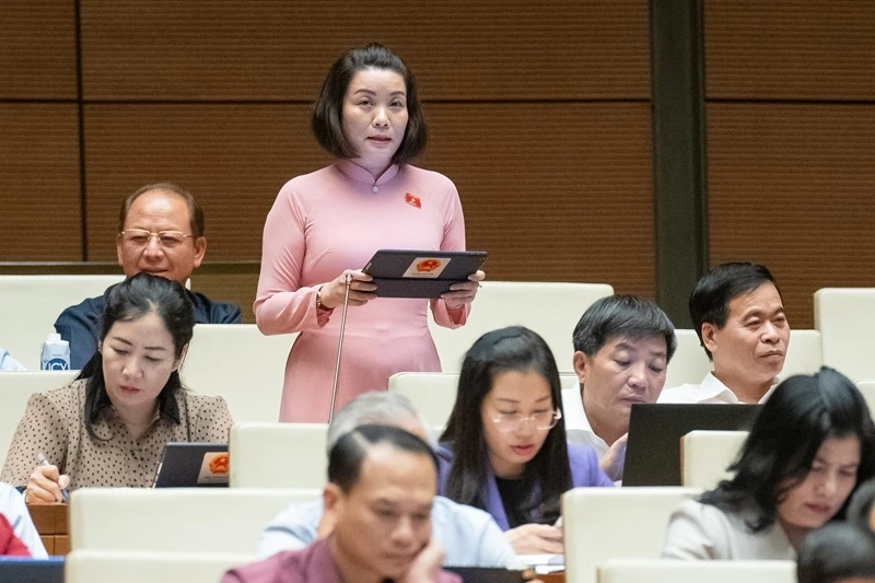 Đại biểu Nguyễn Thị Minh Tâm (Đoàn Quảng Bình) phát biểu.