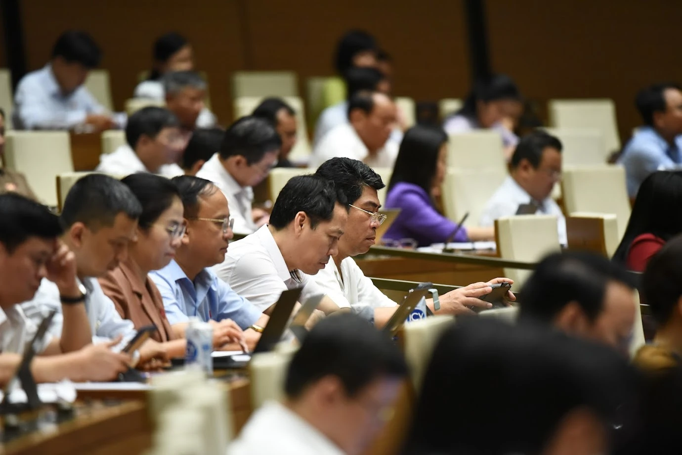 Các đại biểu dự Phiên họp.