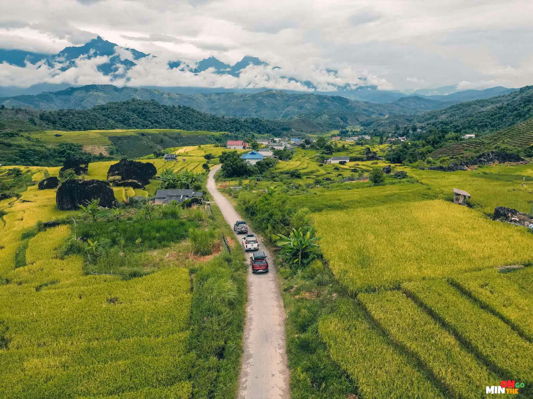 … khi đó, du khách sẽ được ngắm đồi chè xanh mướt, với hơn 2.000 hec-ta chè có tuổi đời từ 40 – 50 năm, xen lẫn là những thửa ruộng bậc thang lúa chín vàng ươm.