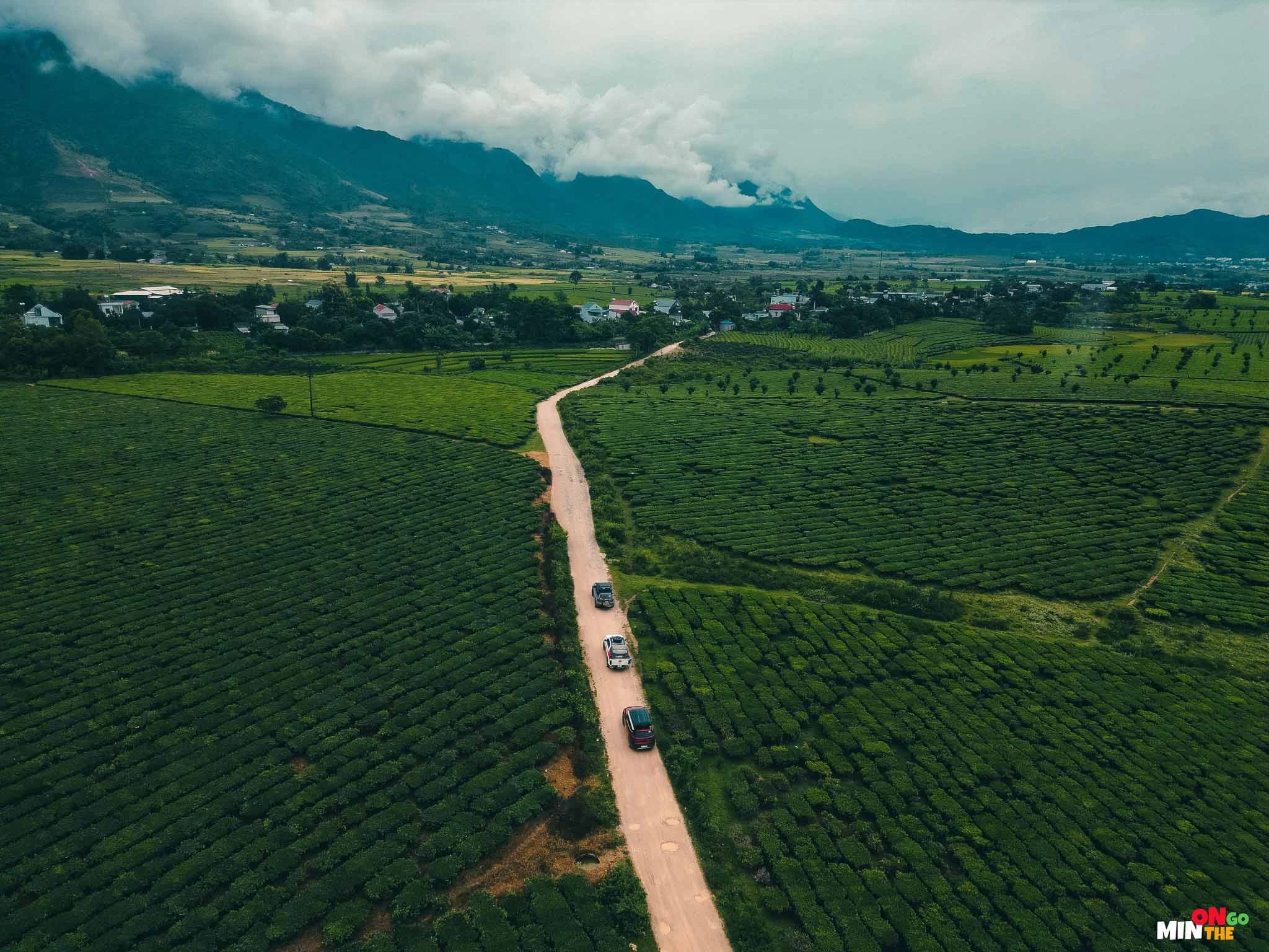 Đoạn đường đi qua những vườn chè xanh mướt.