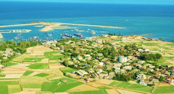 Cánh đồng tỏi.