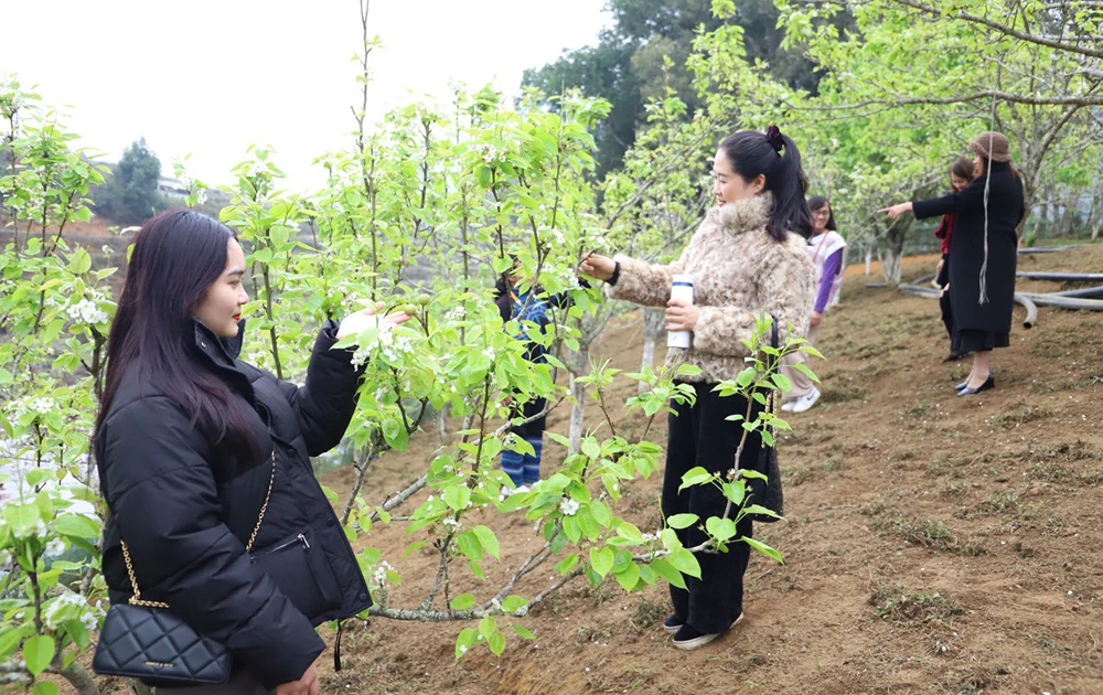 du khach ha noi - Copy.jpg