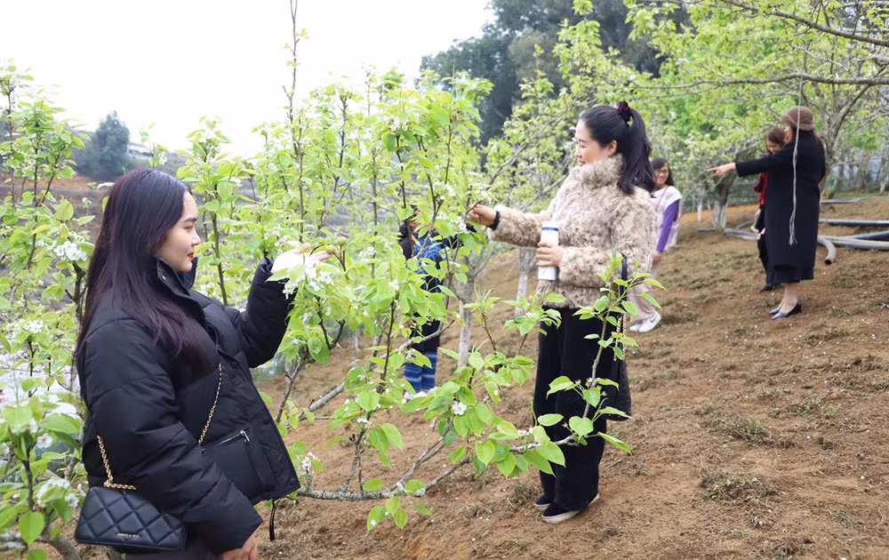 du khach ha noi - Copy.jpg