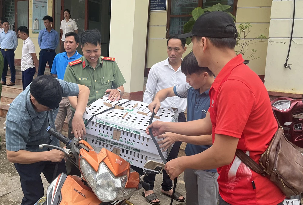 Con giống được trao tận tay cho bà con.jpg