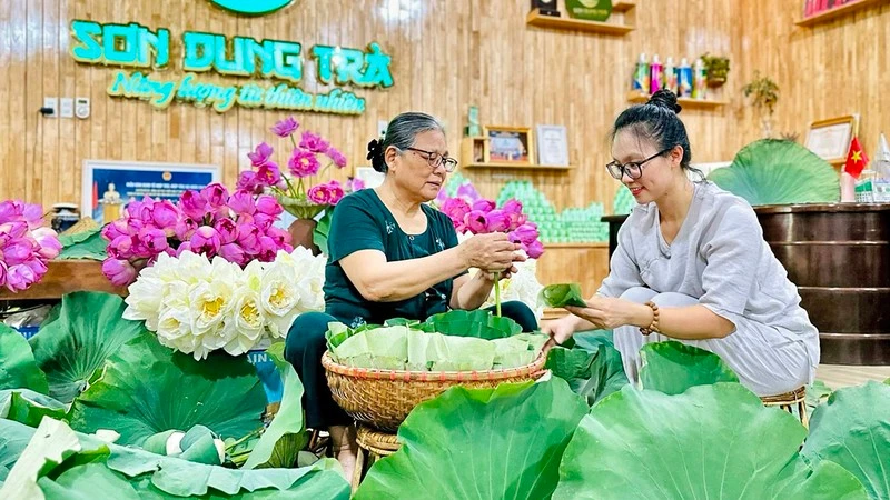 Sản xuất trà sen tại Hợp tác xã trà Sơn Dung (tỉnh Thái Nguyên).