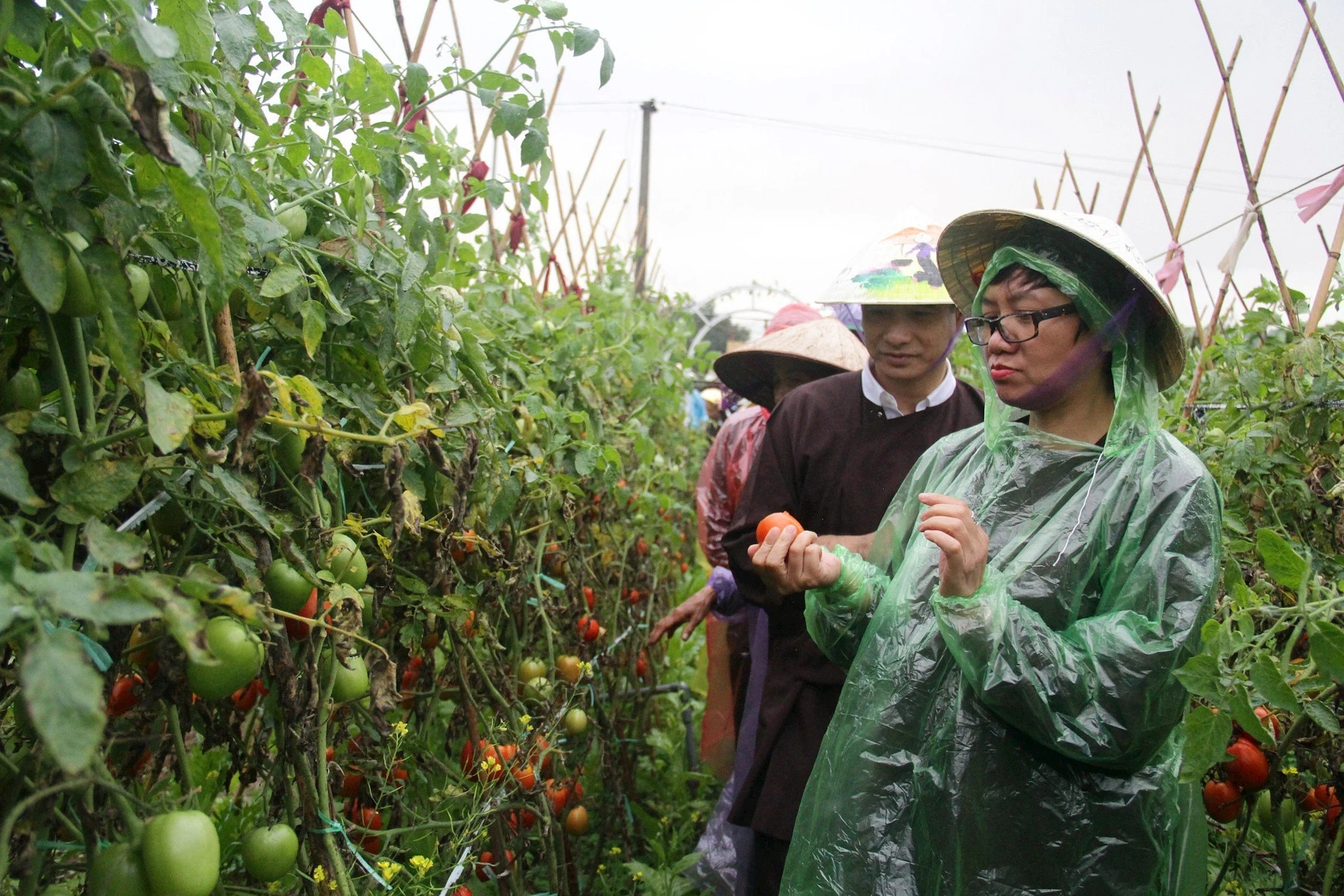 Du khách trải nghiệm sinh hoạt, cuộc sống hàng ngày ở nông thôn.