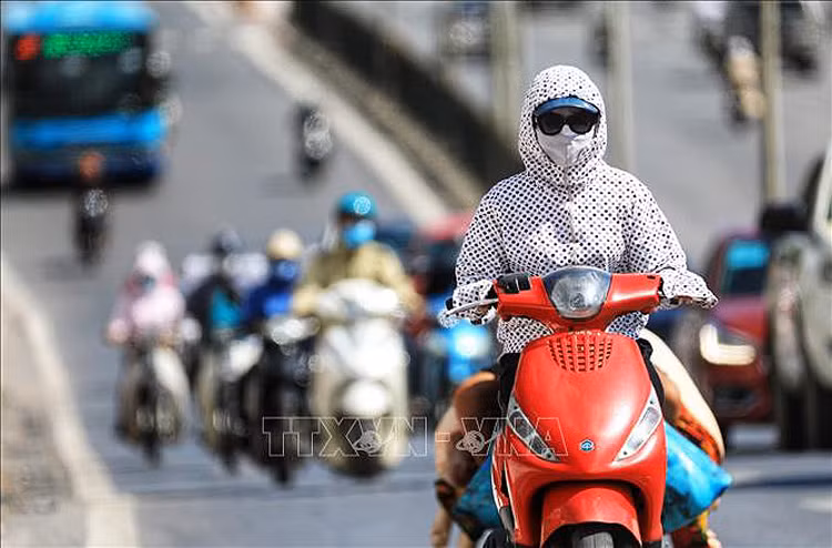 Từ tháng 7 đến tháng 9, nhiệt độ có xu hướng cao hơn trung bình nhiều năm khoảng 0,5 – 1 độ C.