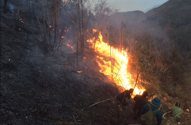 Trước dự báo 3 tháng tới nguy cơ cháy rừng vẫn còn cao, bà con sinh sống gần rừng cần nâng cao ý thức bảo vệ rừng.