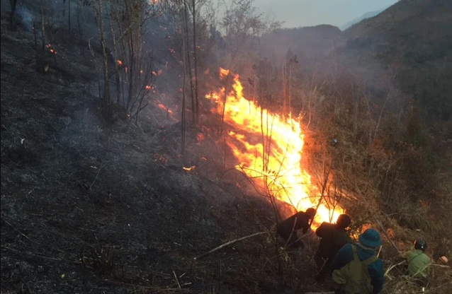 Trước dự báo 3 tháng tới nguy cơ cháy rừng vẫn còn cao, bà con sinh sống gần rừng cần nâng cao ý thức bảo vệ rừng.