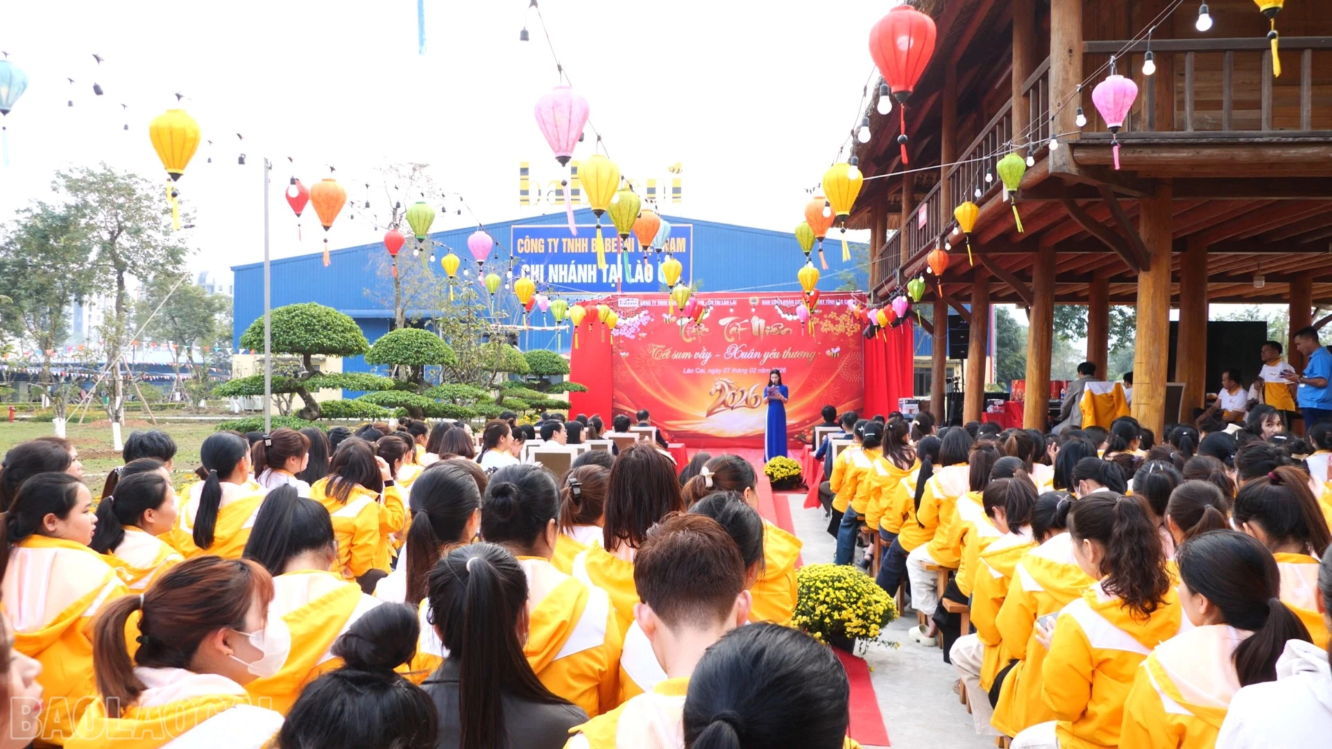 baolaocai-bl_a3-2517.jpg