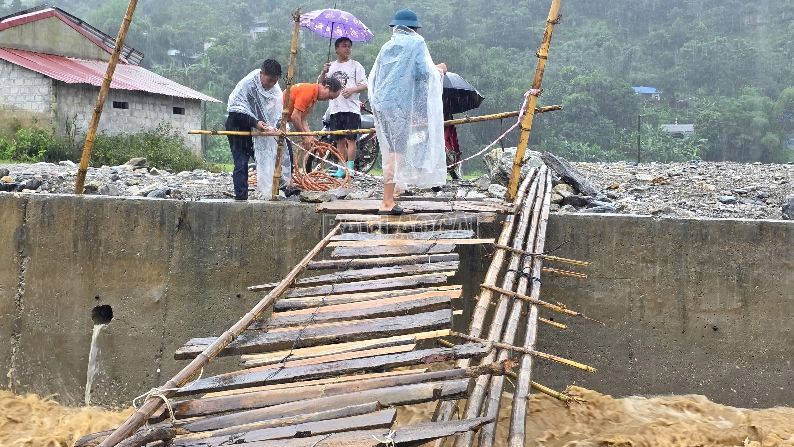 baolaocai-c_z7091081090079-6404829d5d0f74d9906ab421aa3e6528.jpg