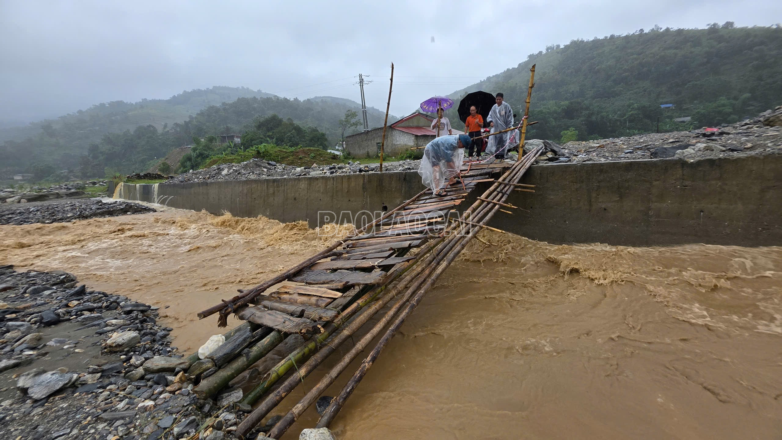baolaocai-c_z7091081053982-28bf396084abfa933ca6e7a05e5009c5.jpg
