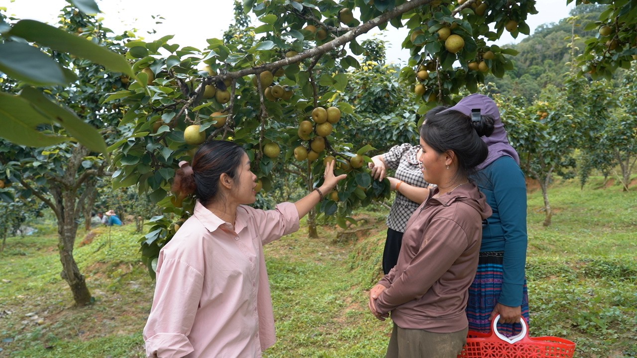 Bà Bùi Thị Chung, Giám đốc Trung tâm Dịch vụ Nông nghiệp xã Si Ma Cai trao đổi với người dân thôn Seo Cán Hồ. c1779t01.jpg