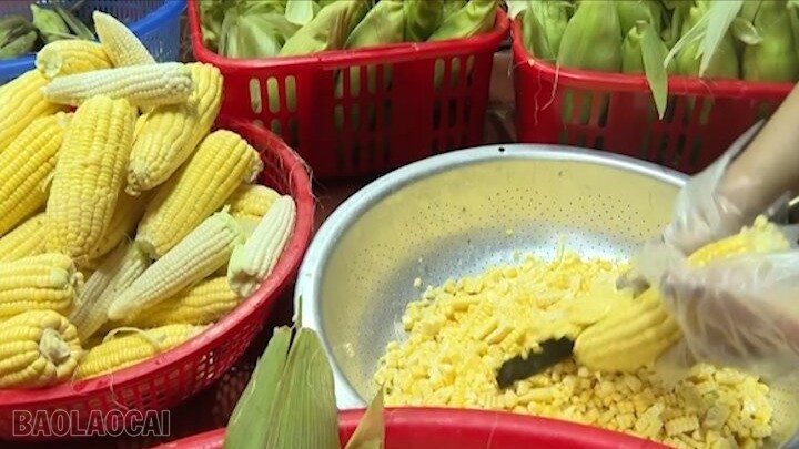 תירס הוא המרכיב העיקרי להכנת פו תירס. baolaocai-bl_6.jpg