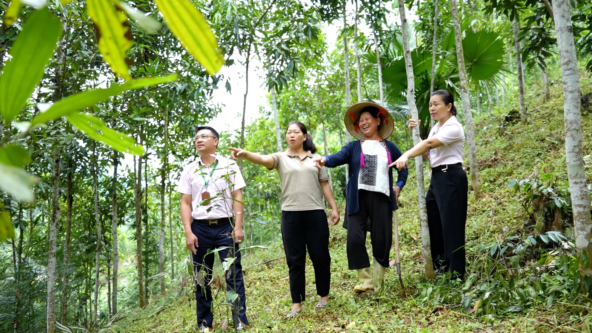 Cán bộ Ngân hàng Chính sách xã hội thăm vườn quế của người dân vay vốn tại thôn Khe Tắm. t2.jpg