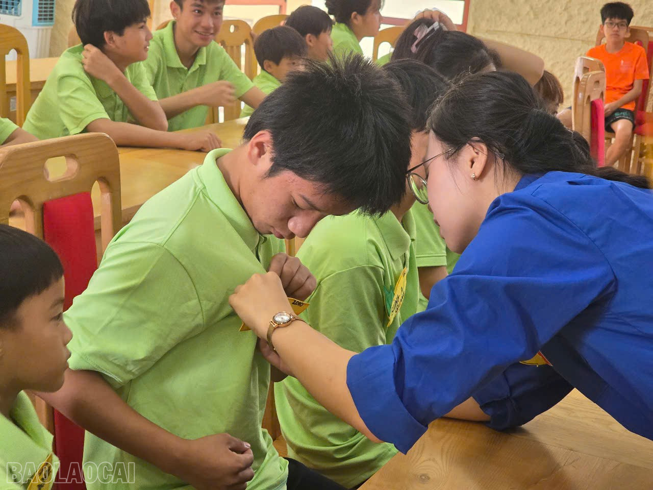 baolaocai-bl_f0c7c5056e1adb44820b.jpg