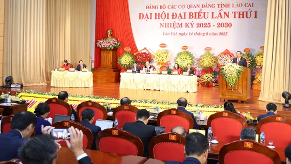 Khai mạc phiên chính thức Đại hội đại biểu Đảng bộ Các cơ quan Đảng tỉnh