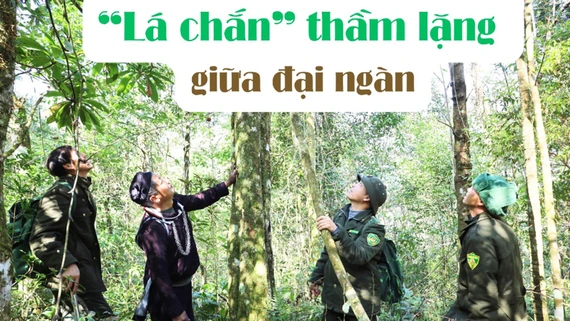 “Lá chắn” thầm lặng giữa đại ngàn