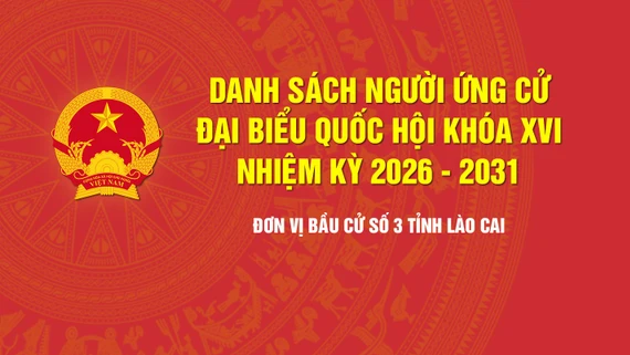 [Infographic] Tiểu sử tóm tắt những người ứng cử đại biểu Quốc hội khóa XVI - Đơn vị bầu cử số 3, tỉnh Lào Cai