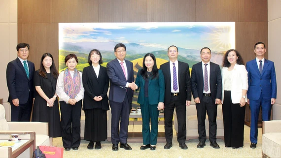 Phó Chủ tịch UBND tỉnh Vũ Thị Hiền Hạnh tiếp xã giao Đoàn công tác của Bệnh viện Veterans Busan, Hàn Quốc