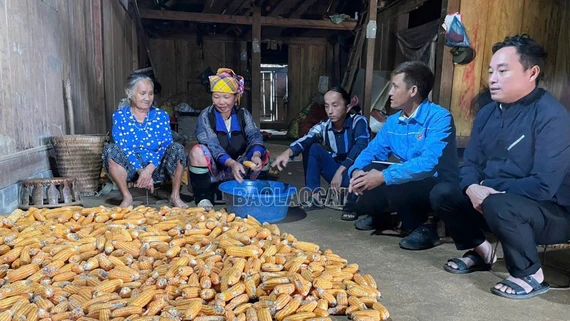 Ngọn cờ đầu trên đỉnh Làng Linh