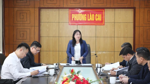 Phó Chủ tịch HĐND tỉnh Hoàng Thị Thanh Bình giám sát giải quyết kiến nghị cử tri tại phường Sa Pa, Lào Cai và xã Bát Xát