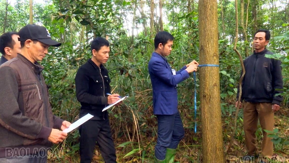 Phường Âu Lâu quan tâm bố trí tái định cư cho người dân