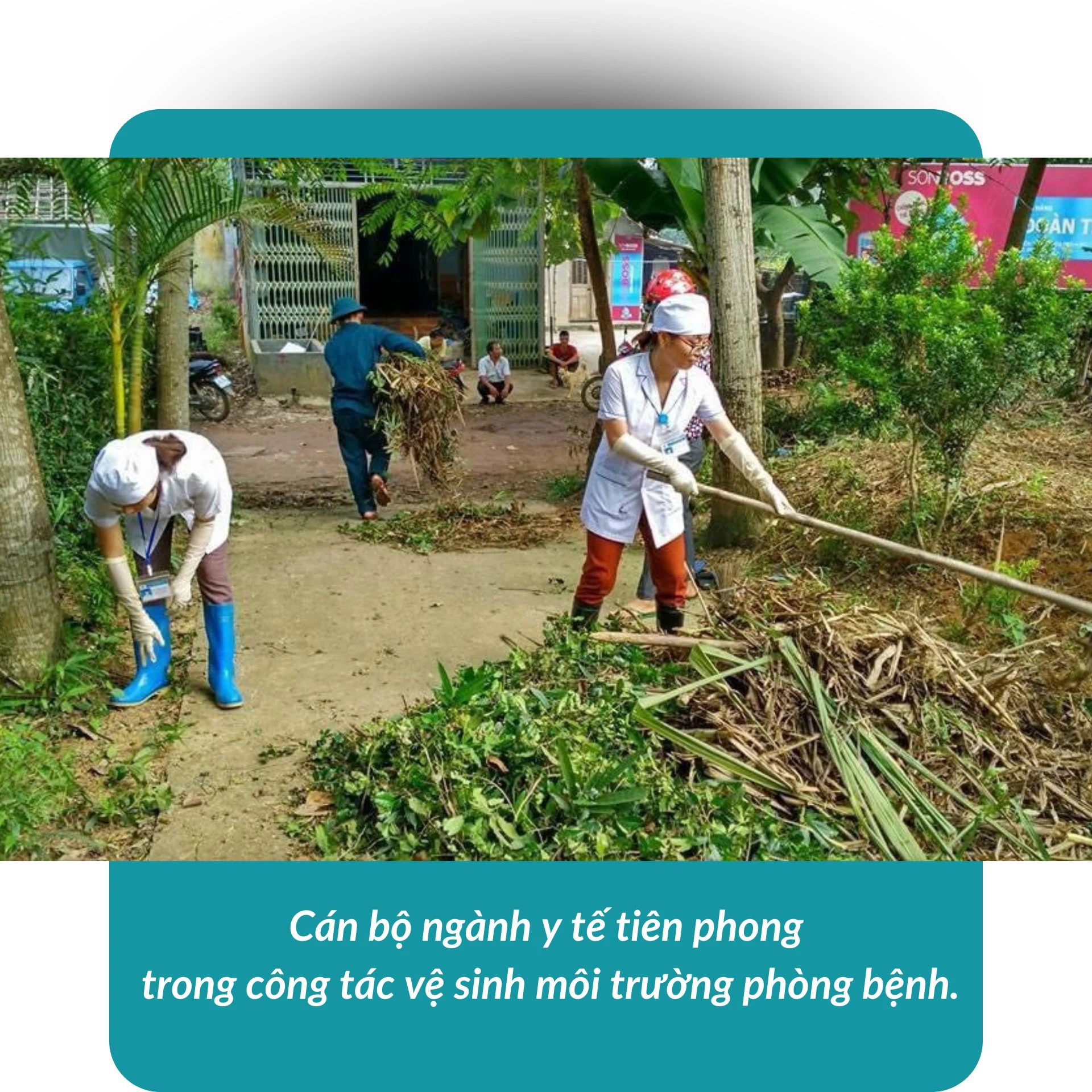 Nỗ lực của toàn dân.jpg