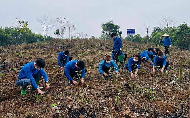 Một nhiệm kỳ thành công ảnh 1
