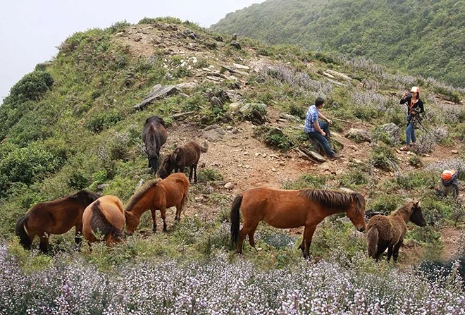 [Ảnh] Chinh phục đỉnh Tà Chì Nhù - Trải nghiệm khó quên ảnh 7