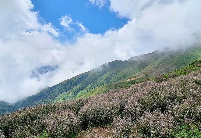 [Ảnh] Chinh phục đỉnh Tà Chì Nhù - Trải nghiệm khó quên ảnh 4