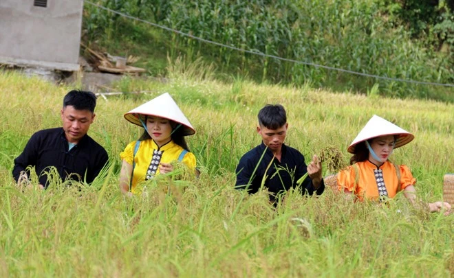 Rộn ràng Lễ hội cốm Tú Lệ, huyện Văn Chấn ảnh 2