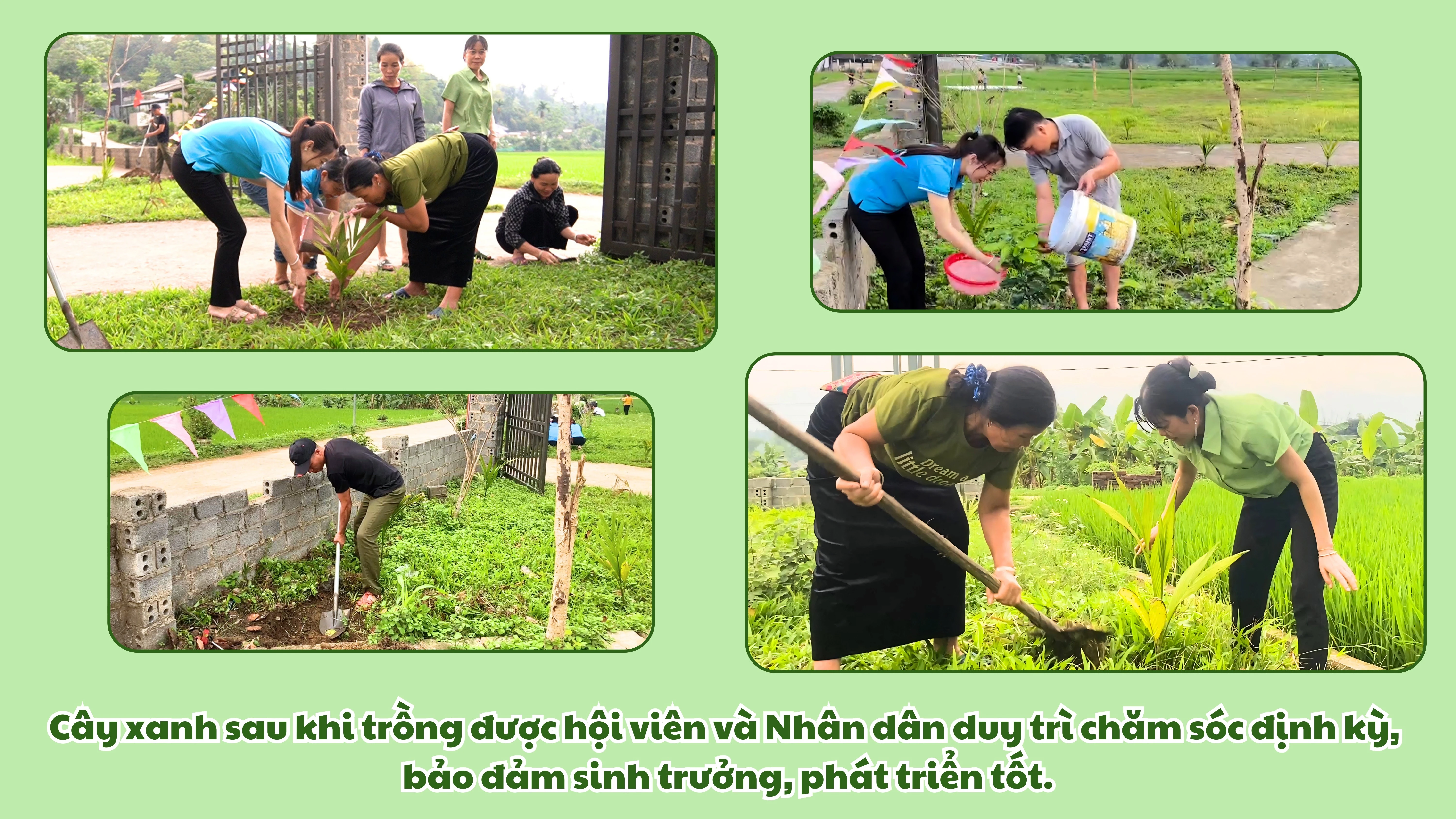 green-illustrated-community-tree-planting-poster-bai-thuyet-trinh-2.jpg