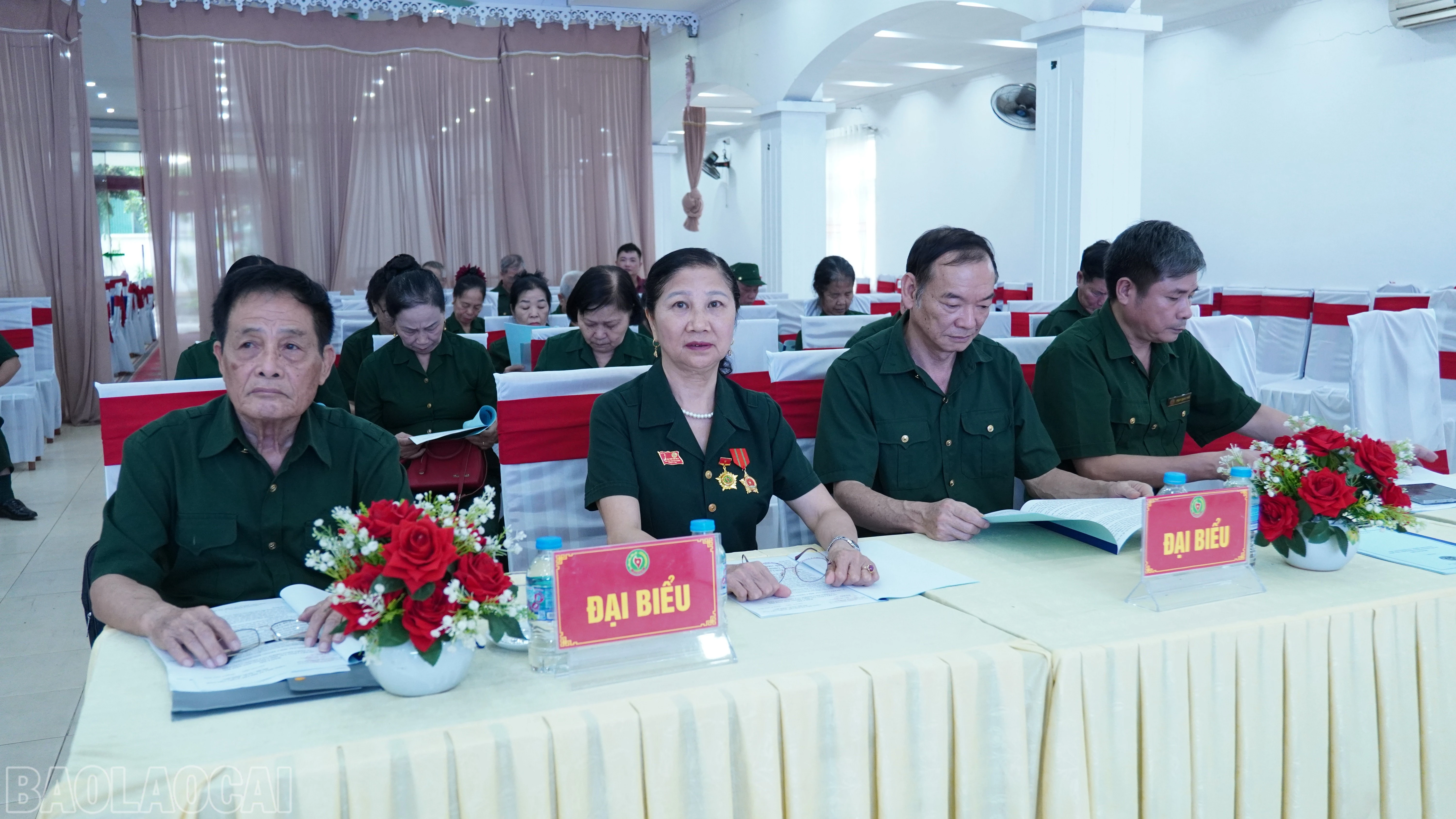 baolaocai-bl_fpt00243.jpg