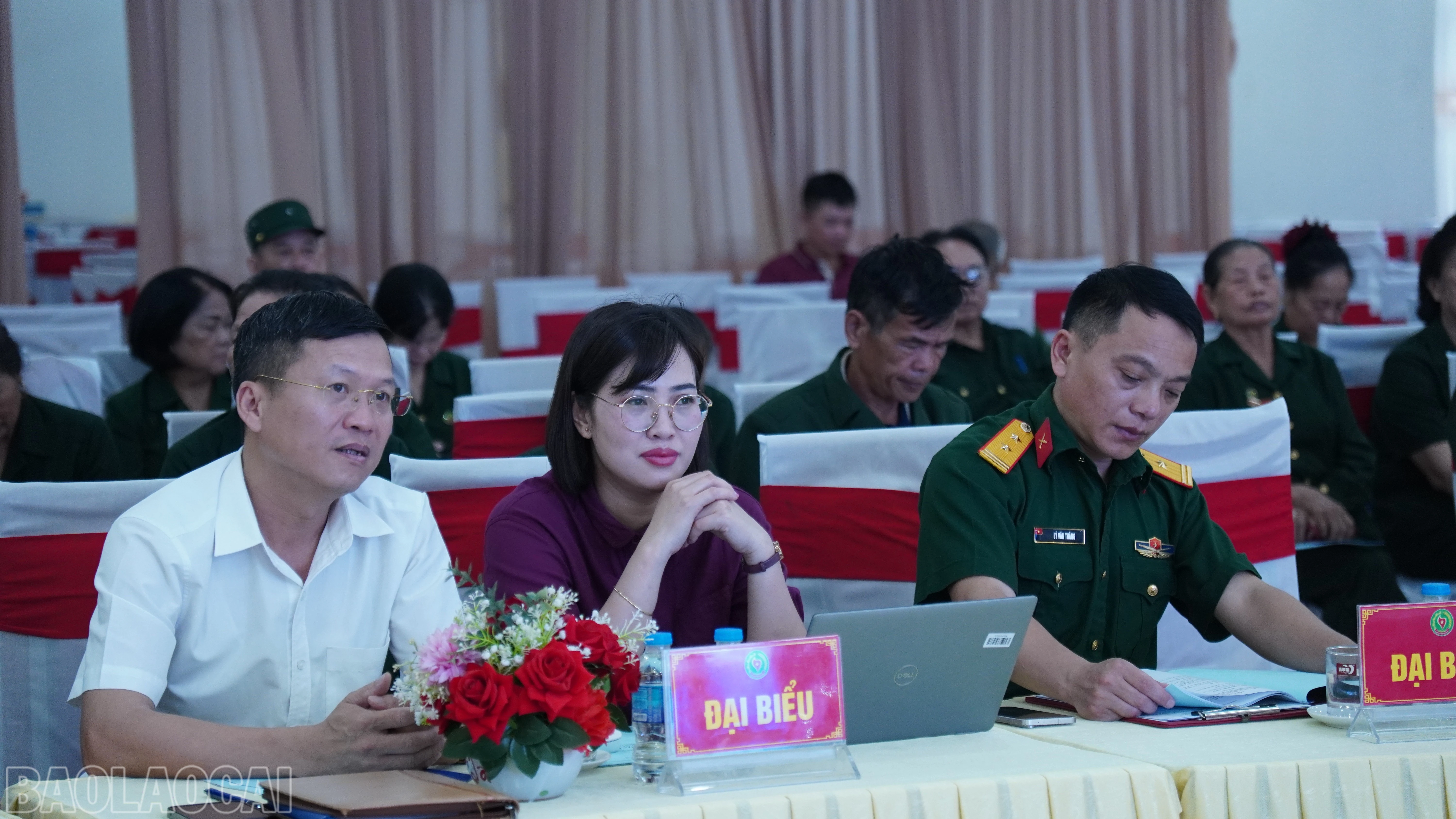 baolaocai-bl_fpt00187.jpg
