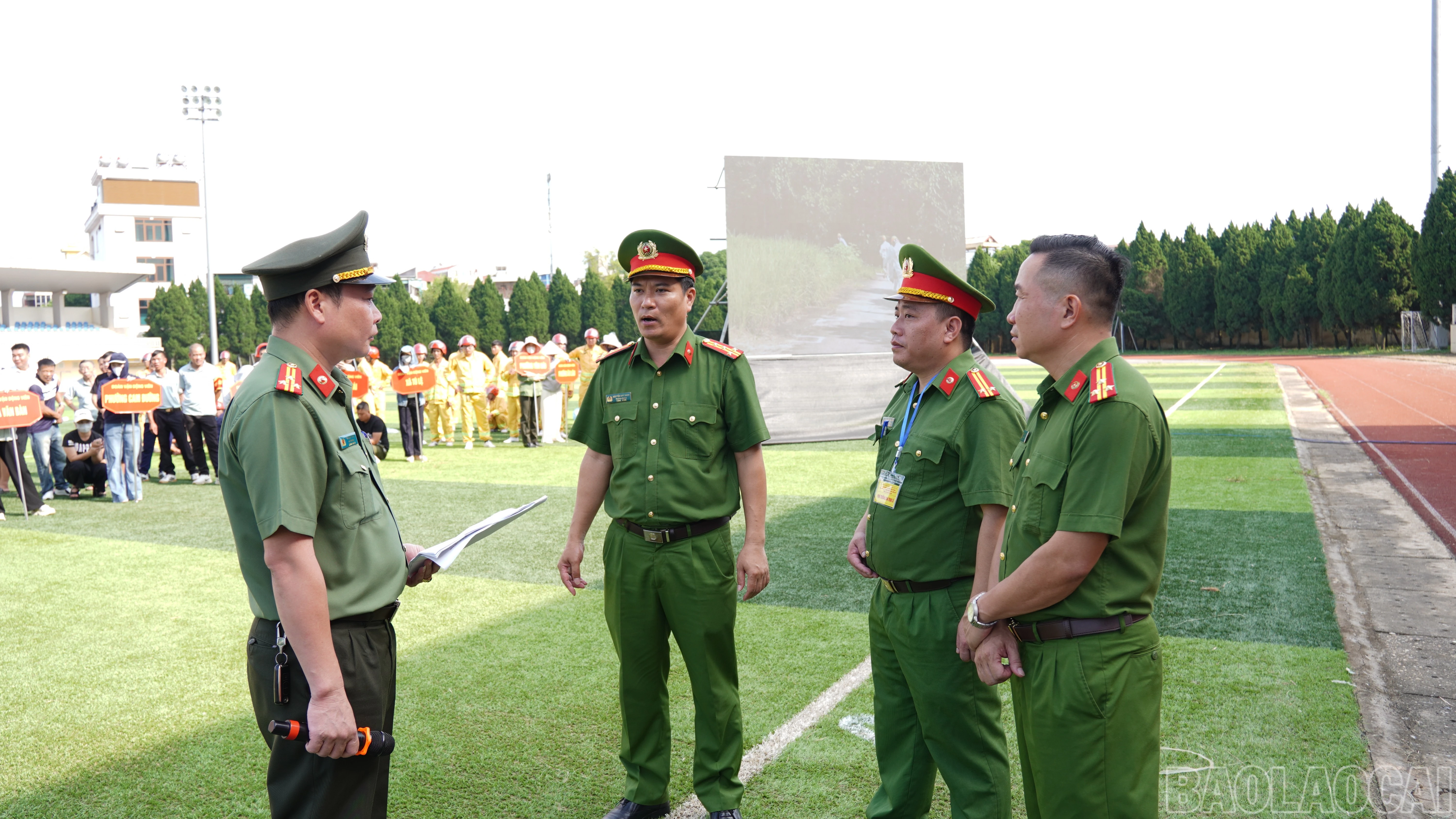 baolaocai-br_fpt02797.jpg