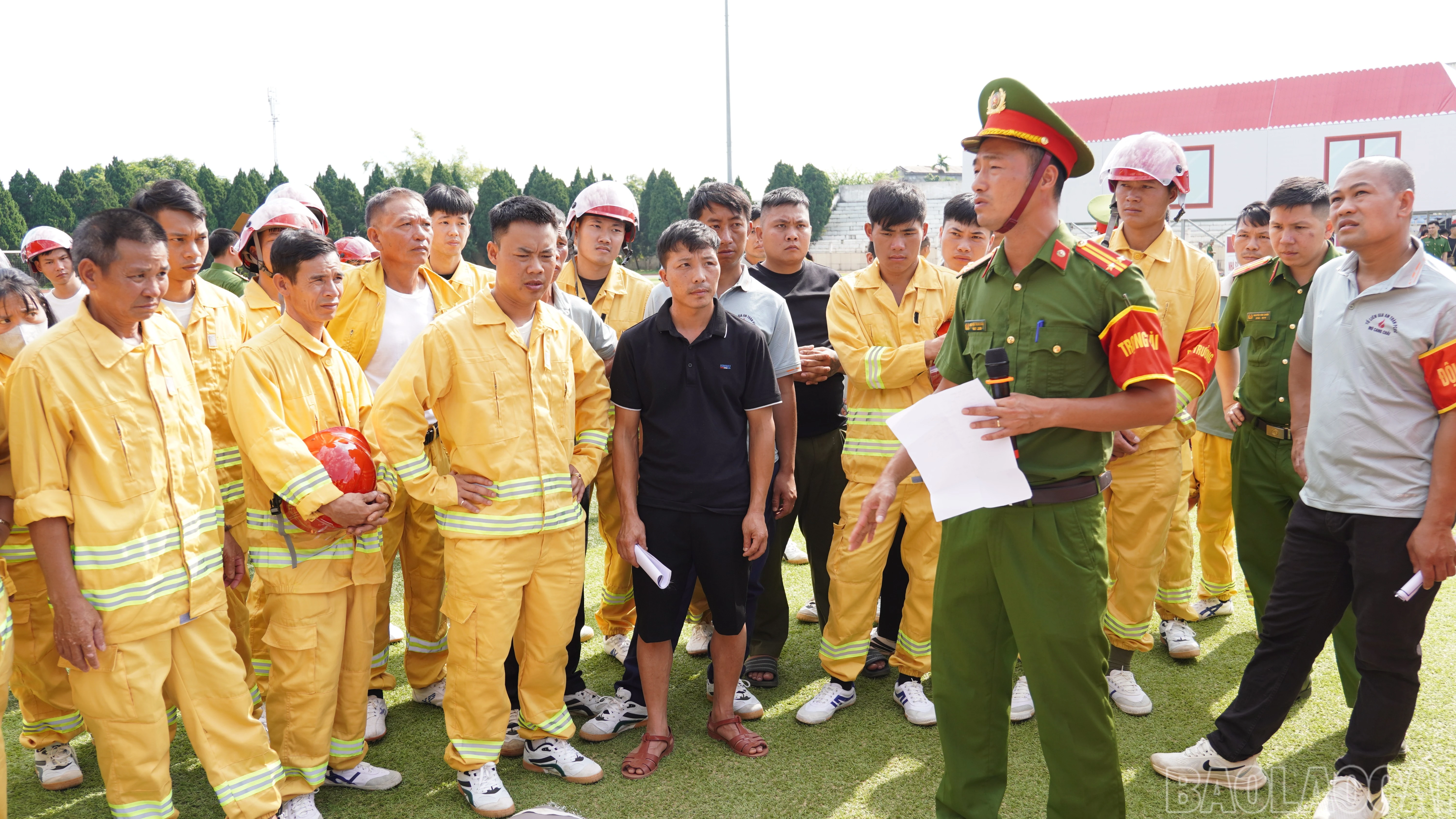 baolaocai-br_fpt02887.jpg