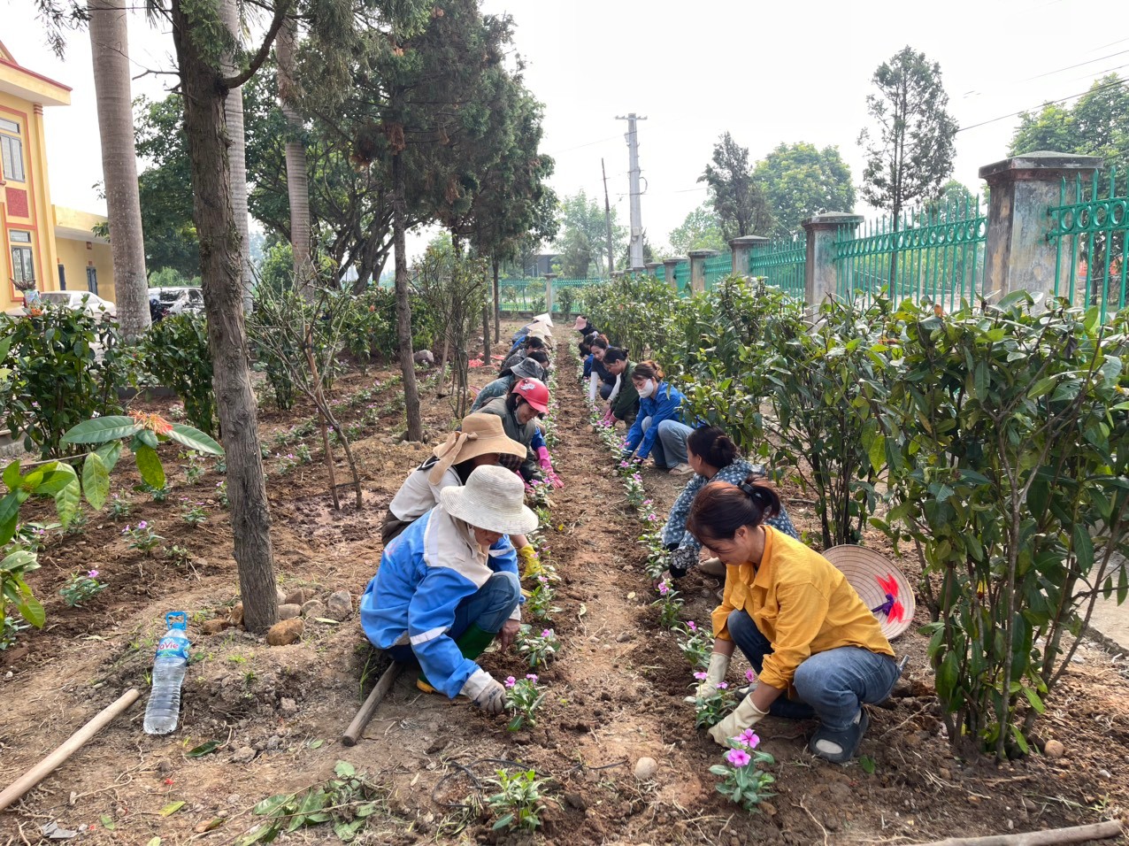Hội viên phụ nữ xã Quy Mông xây dựng vườn hoa tại nơi làm việc. 525706086-1044857671196920-7431659396229641132-n.jpg