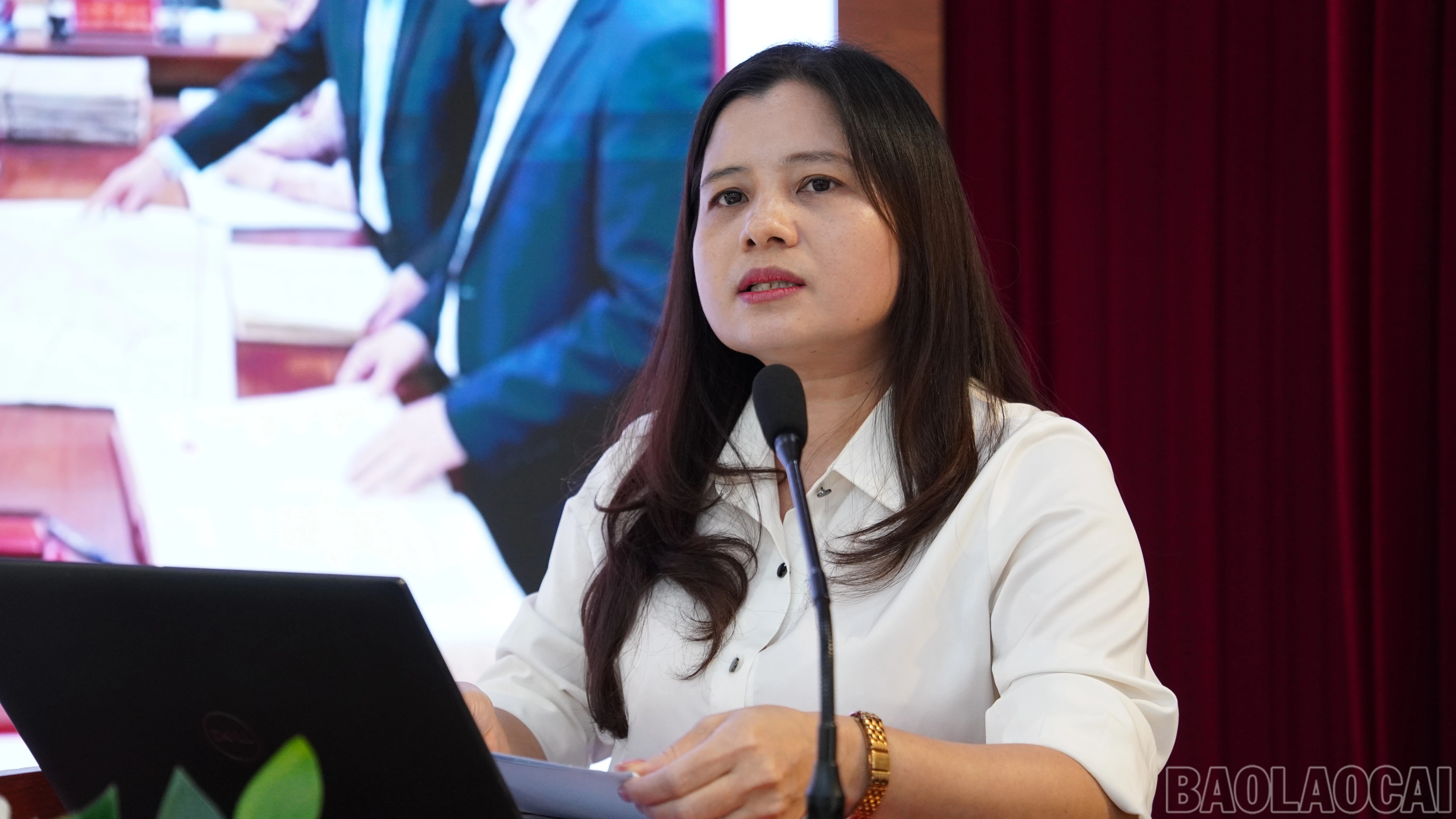 baolaocai-br_fpt01806.jpg