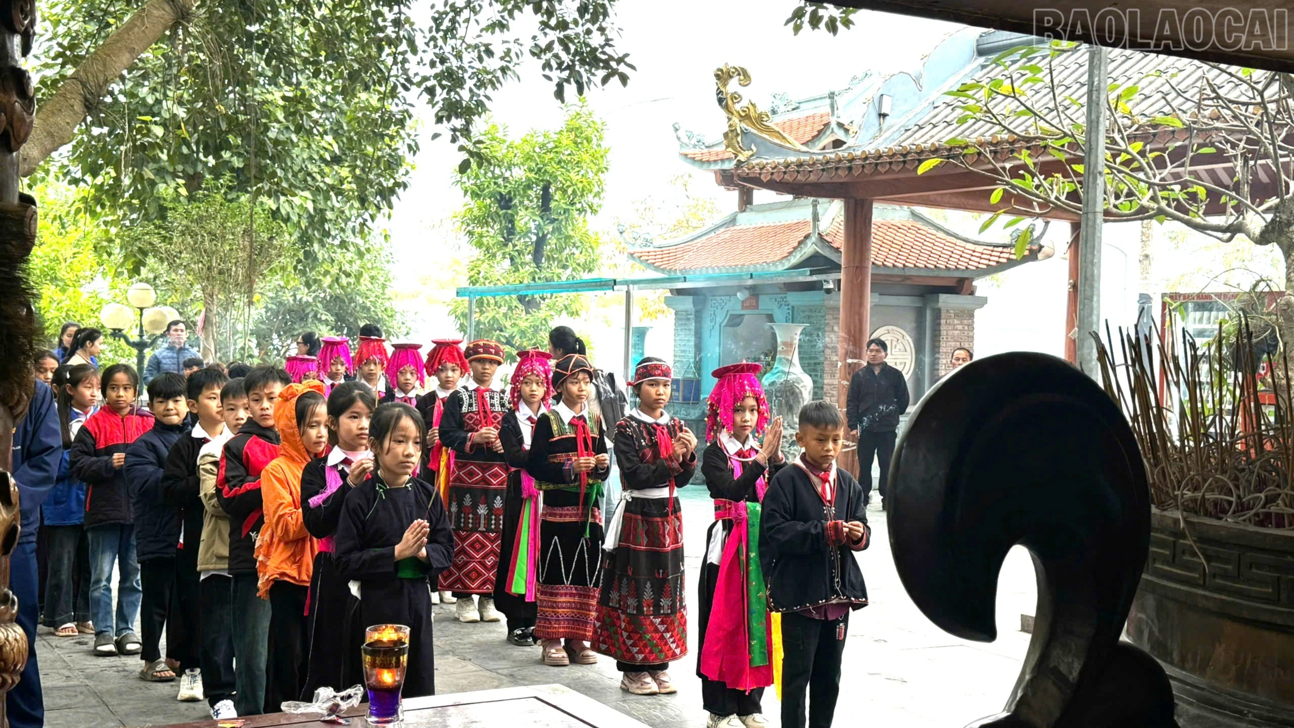 baolaocai-tr_bh.jpg