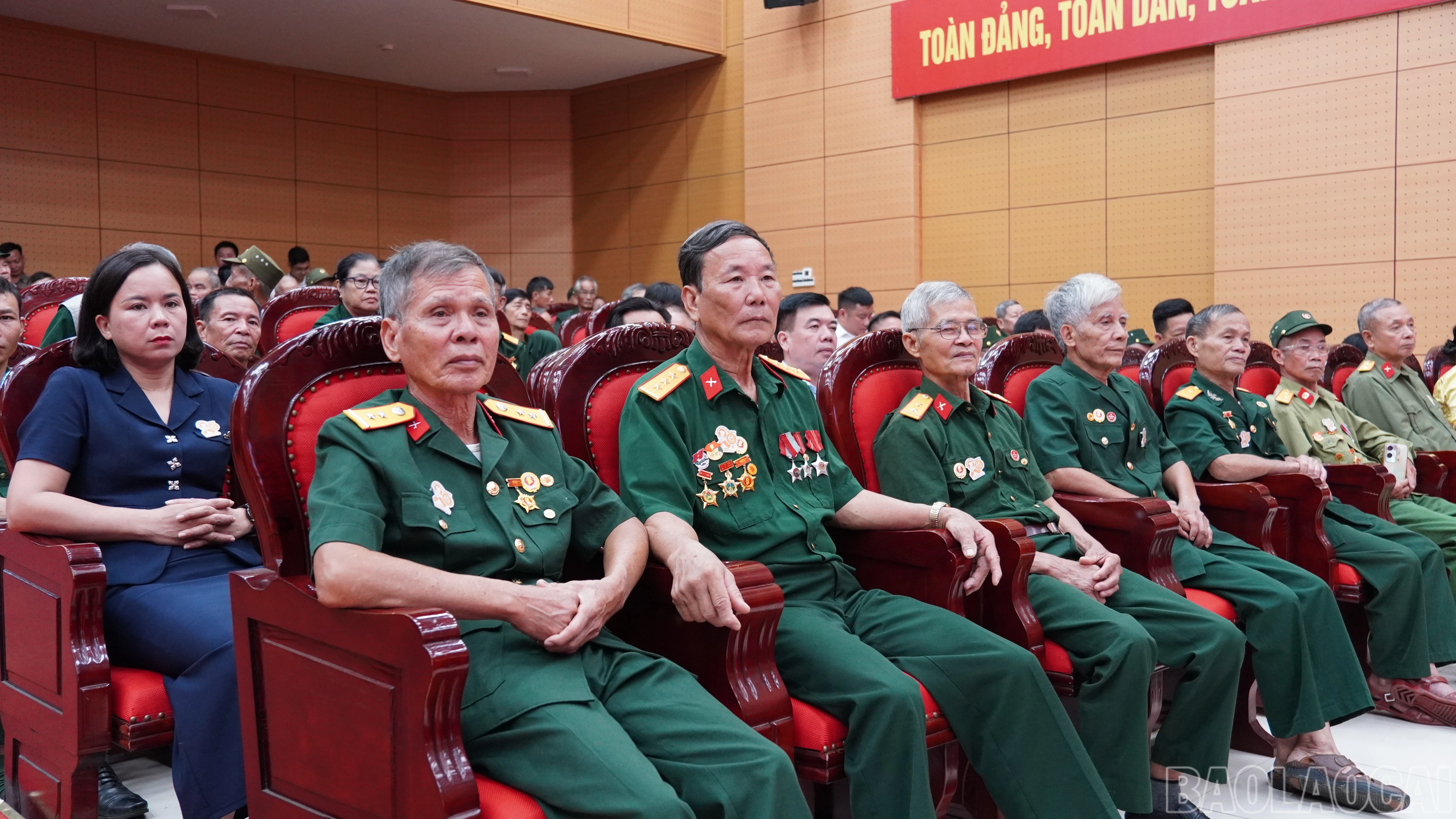 baolaocai-br_fpt02150.jpg