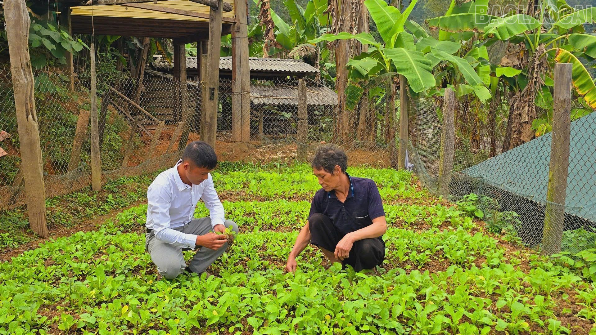 Bí thư Chi bộ Phàng A Xềnh luôn gần dân để lắng nghe ý kiến của người dân, phản ánh kịp thời lên cấp trên. baolaocai-tr_thiet-ke-chua-co-ten-3.jpg