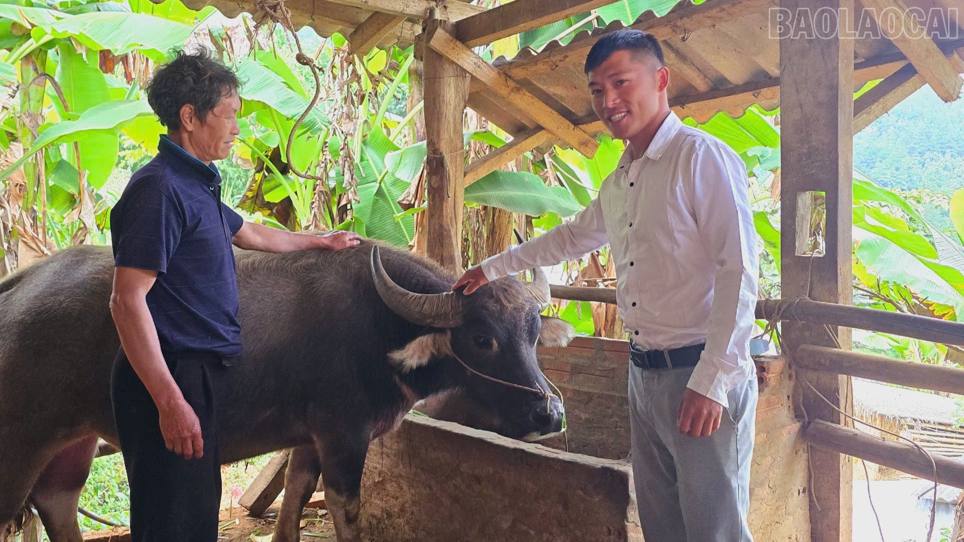 Dưới sự hướng dẫn của Chi bộ thôn Tà Xùa, nhiều hộ dân đã chủ động xây dựng mô hình kinh tế mới, áp dụng tiến bộ kỹ thuật vào sản xuất. baolaocai-tr_chua-co-ten-1920-x-1080-px-1.jpg