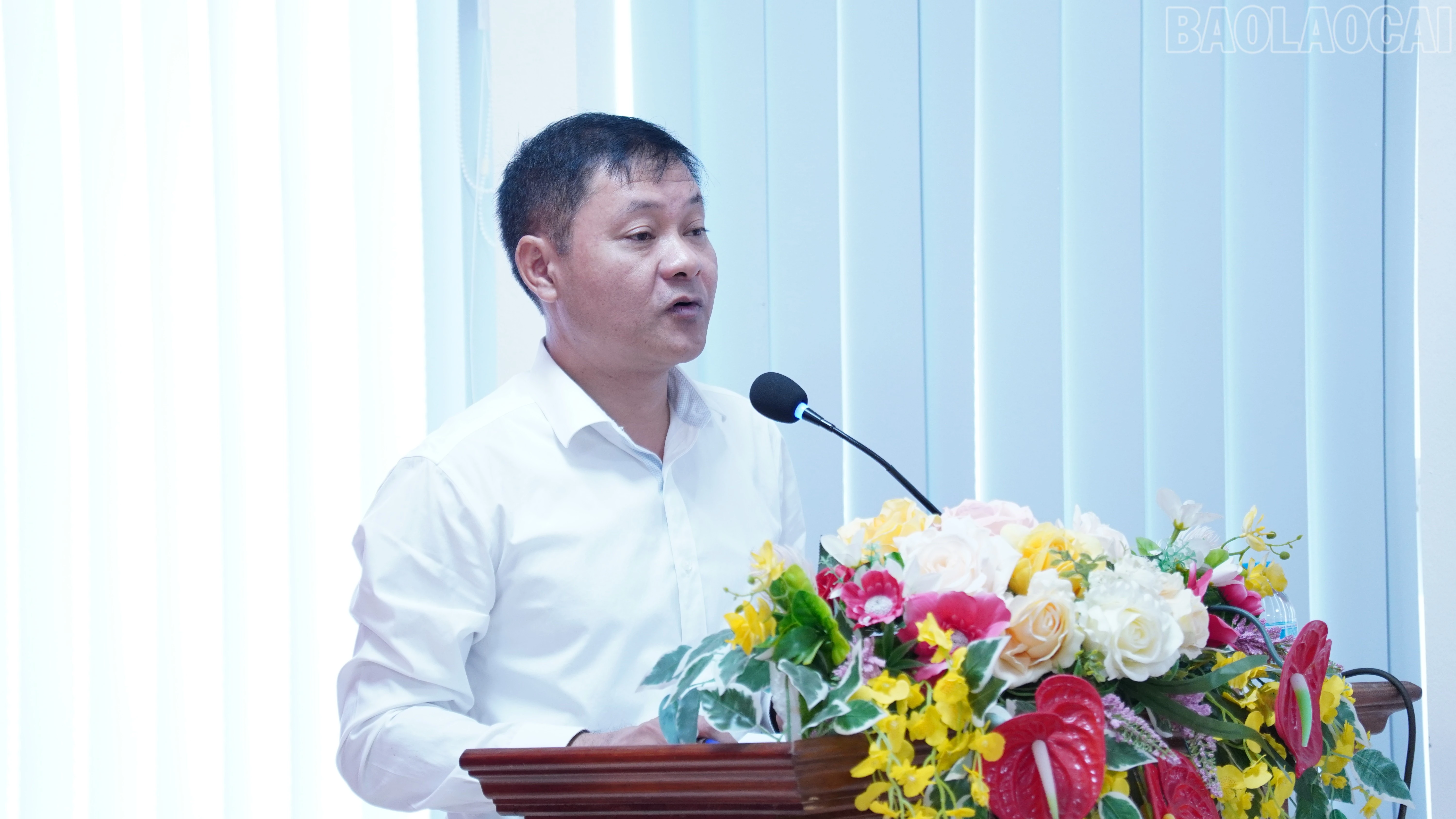 baolaocai-tr_fpt09696.jpg