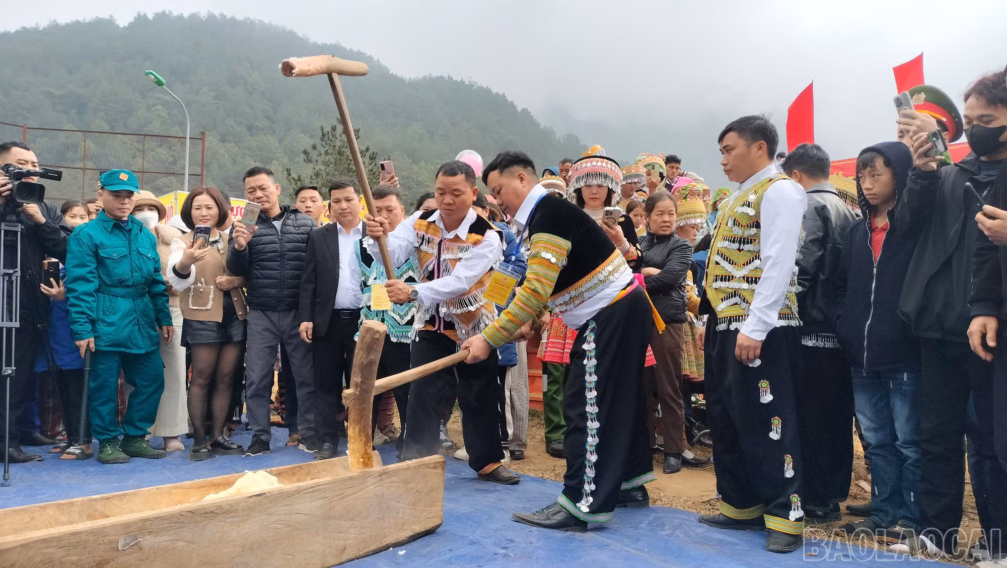 baolaocai-br_z7615806302715-e84bed7fcc45a6c72225bc5630a8cd7c.jpg