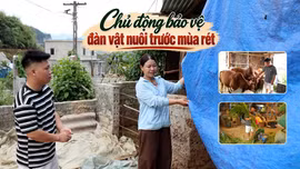 Chủ động bảo vệ đàn vật nuôi trước mùa rét