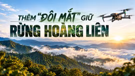 Thêm “đôi mắt” giữ rừng Hoàng Liên
