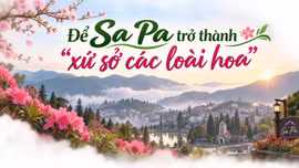 Để Sa Pa trở thành “xứ sở các loài hoa”