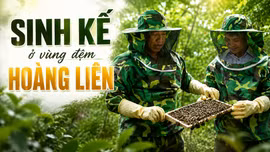 Sinh kế ở vùng đệm Hoàng Liên
