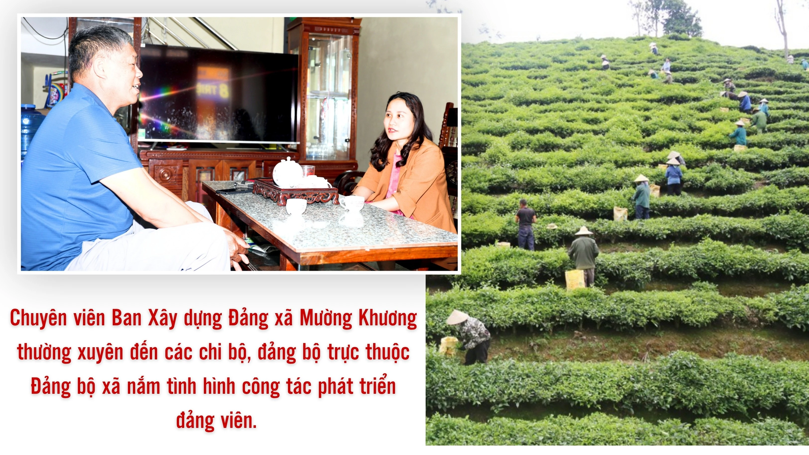 tang-cuong-2.jpg
